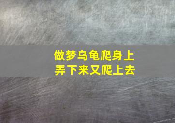 做梦乌龟爬身上 弄下来又爬上去